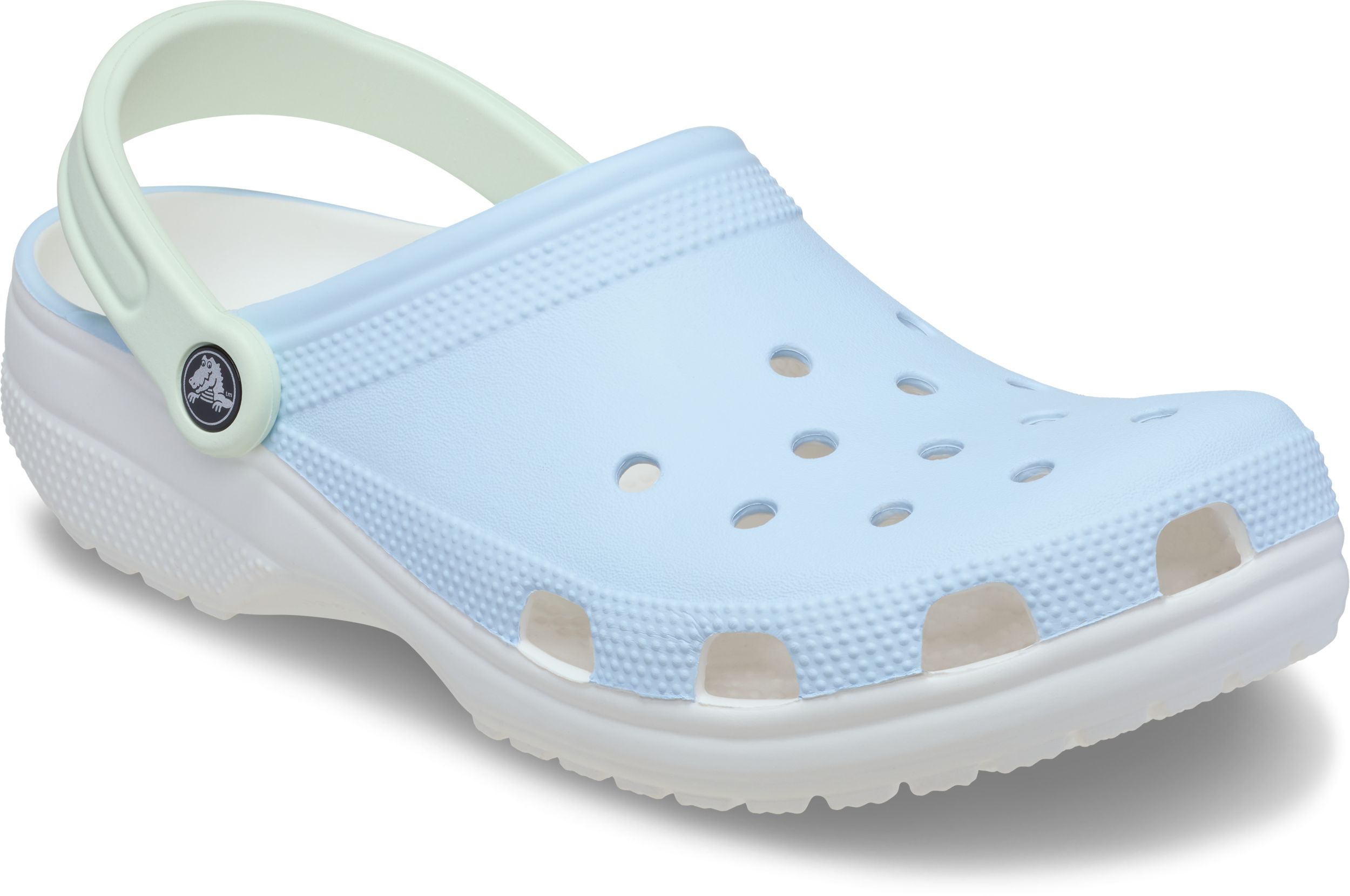Crocs Unisex Classic Retro Sport Clogs