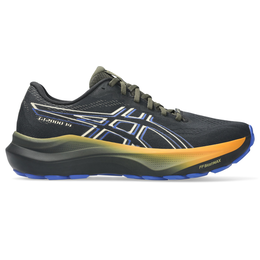 ASICS Men's GT-2000® 14 GORE-TEX Running Shoes