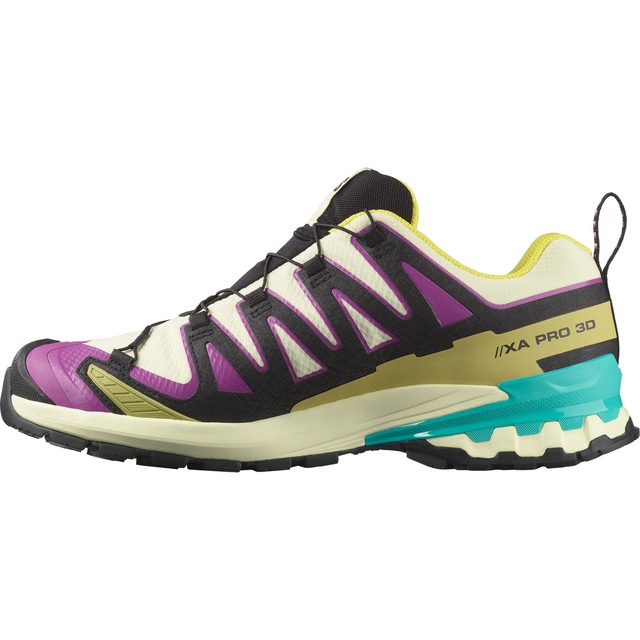 Salomon Men's XA Pro 3D V9 GORE-TEX Trail Running Shoes