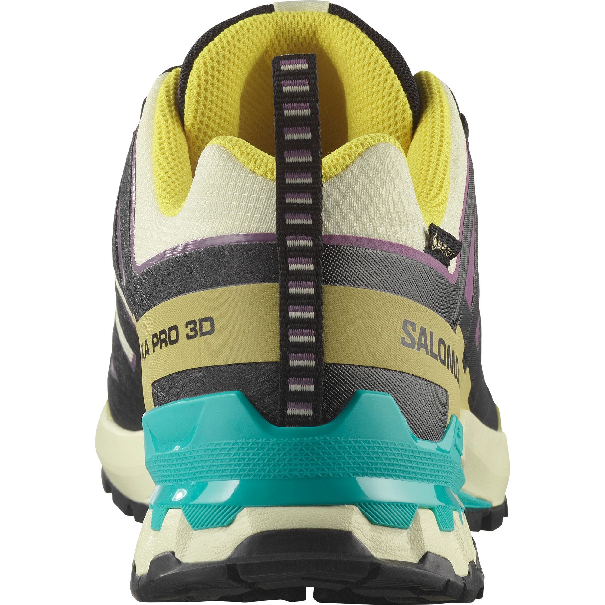 Salomon Men's XA Pro 3D V9 GORE-TEX Trail Running Shoes