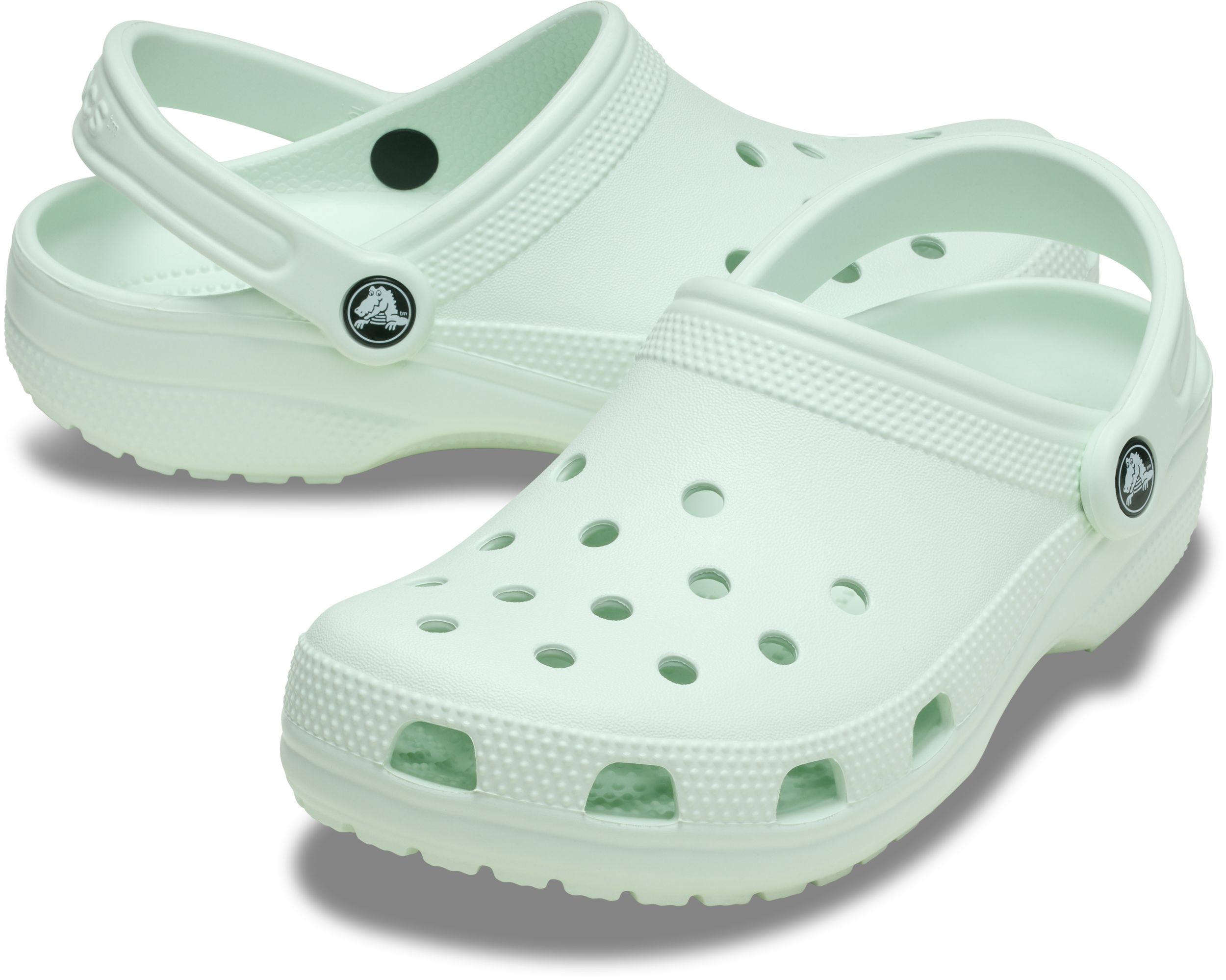 Crocs Unisex Classic Clog Sandals