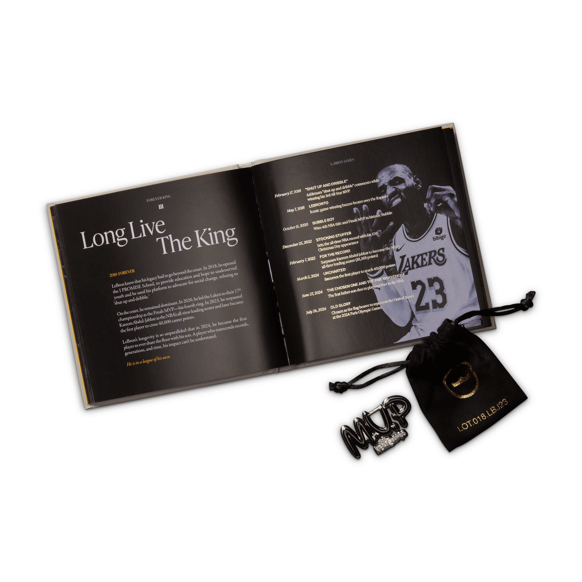 Nike LeBron James XXIII Lux Basketball Shoes