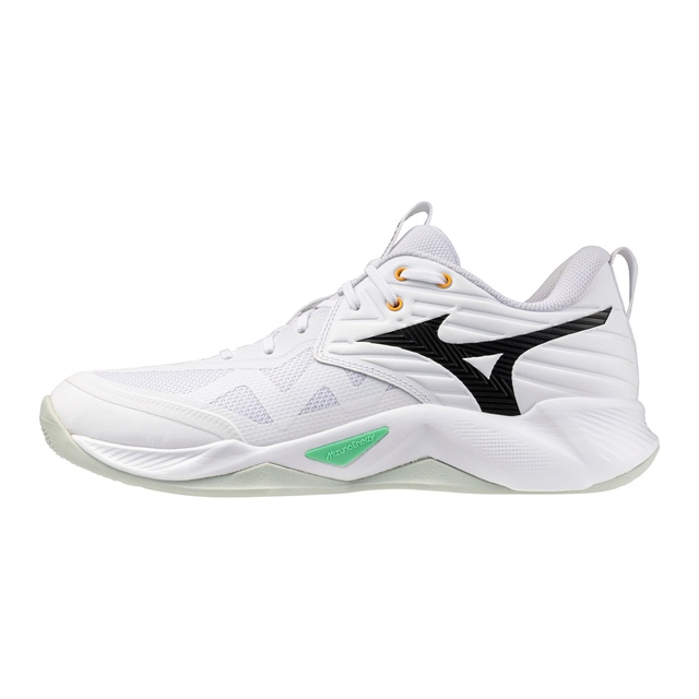 Mizuno Unisex Wave Momentum 4 Pro Volleyball Shoes