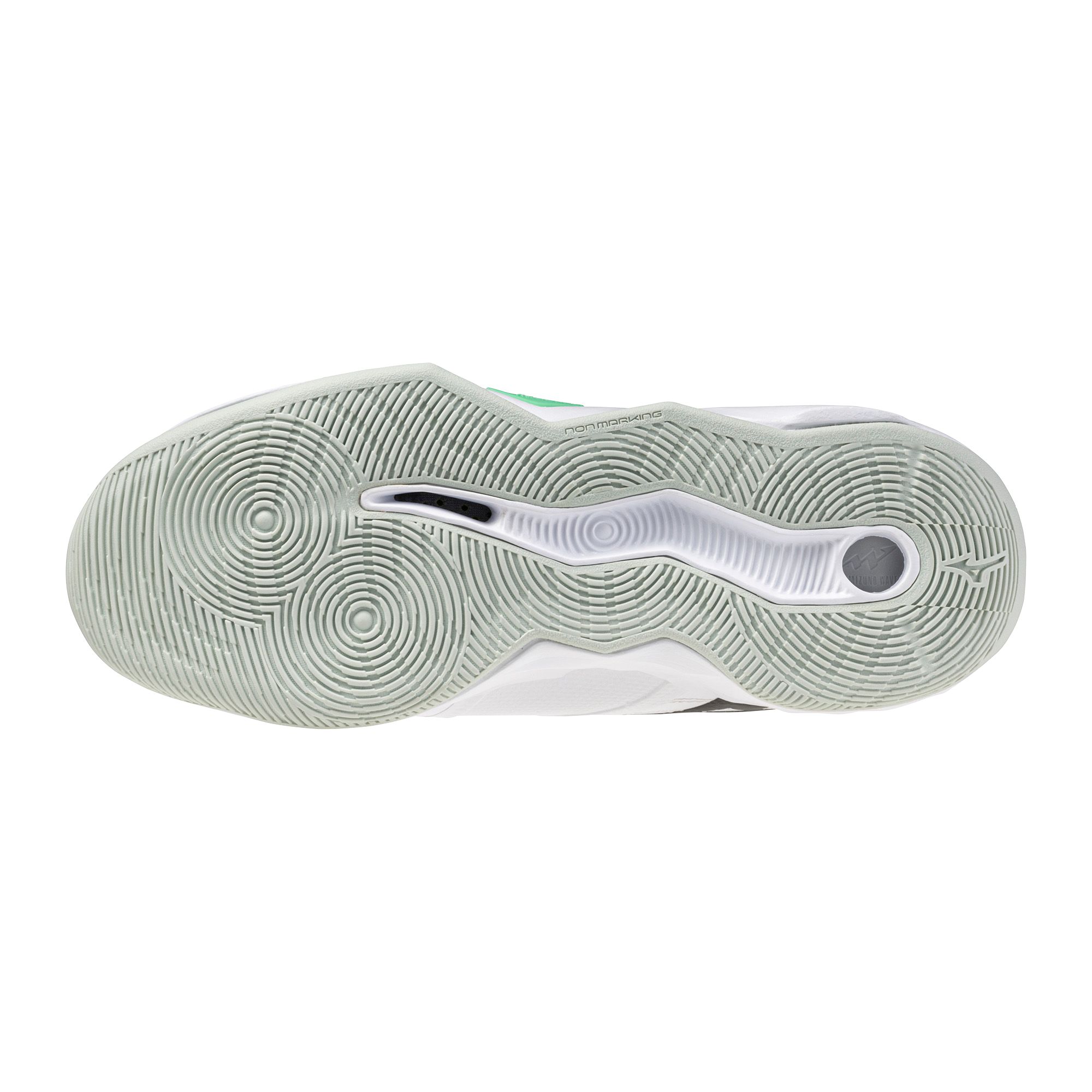 Mizuno Unisex Wave Momentum 4 Pro Volleyball Shoes