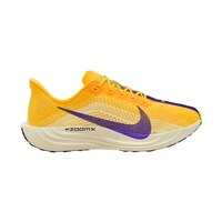 Nike Men's Pegasus Plus Running Shoes