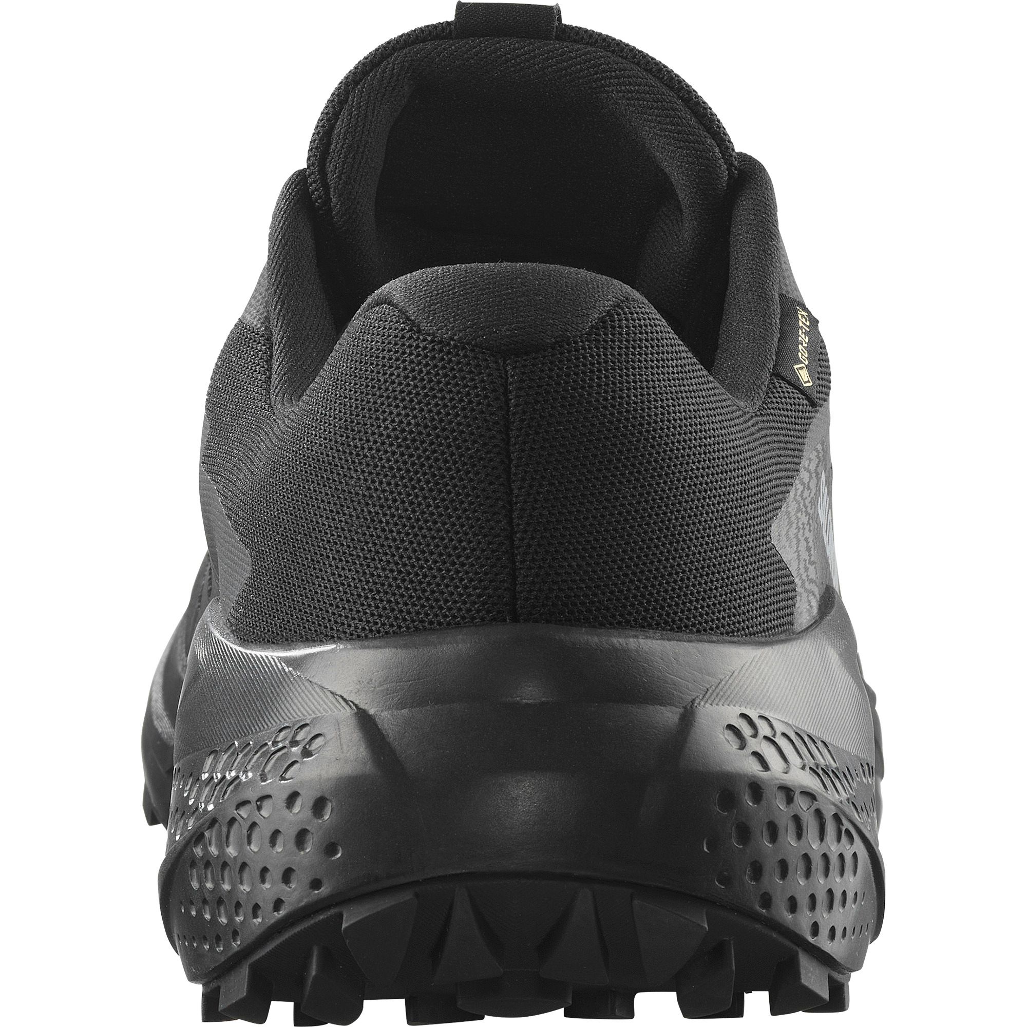 Salomon Men's Alphaglide GORE-TEX Trail Running Shoes