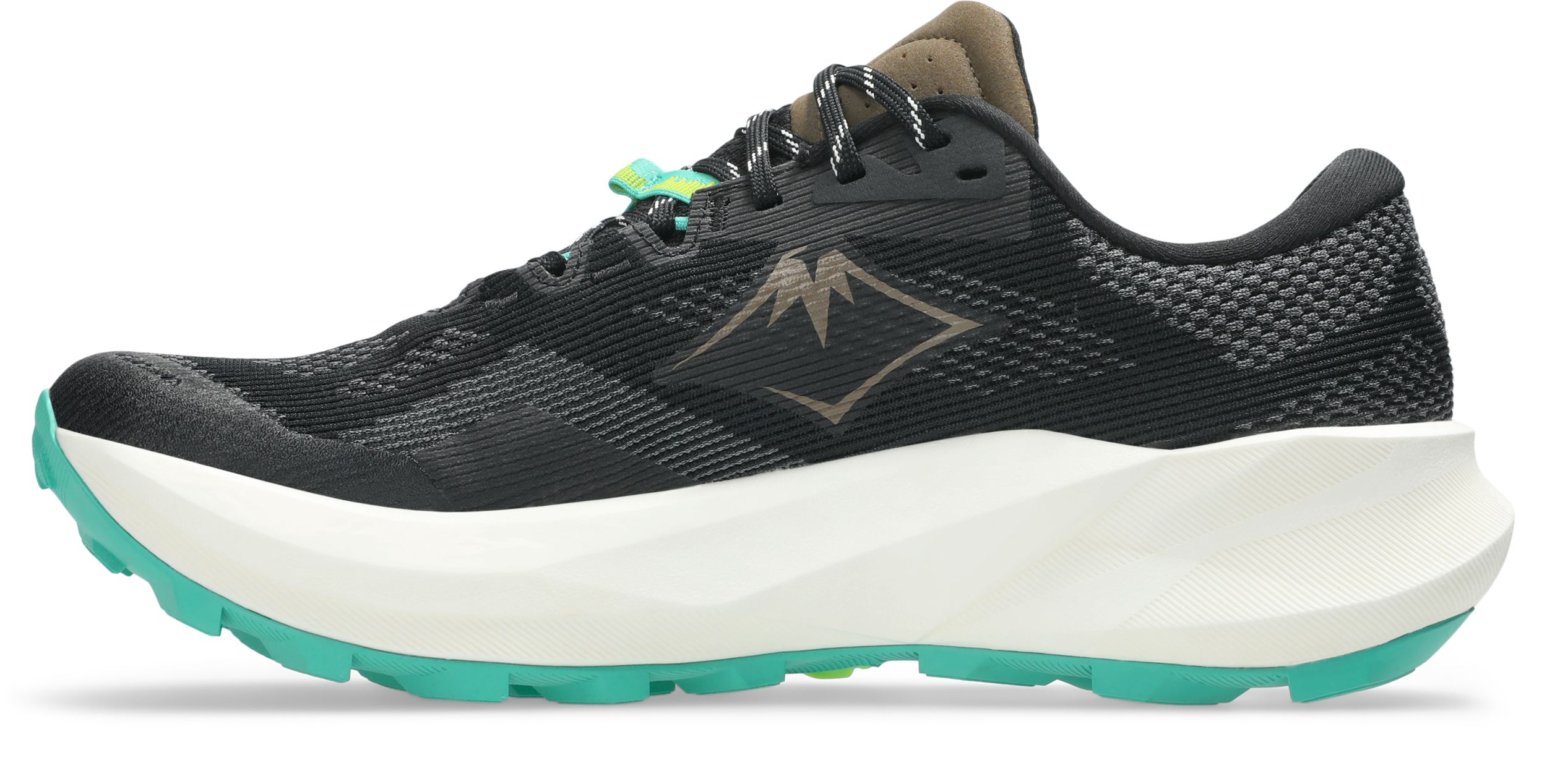 ASICS Men's GEL-TRABUCO 14 Trail Running Shoes