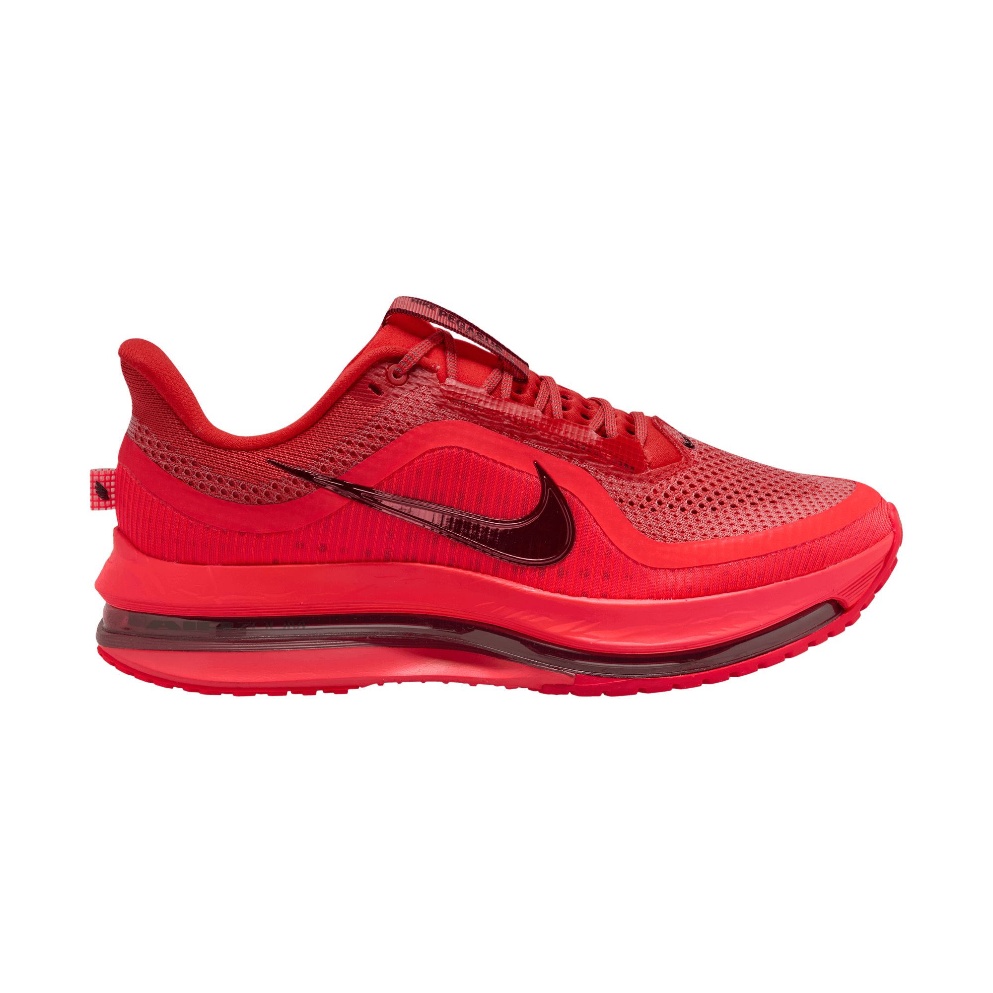 Nike Men's Pegasus Premium Running Shoes