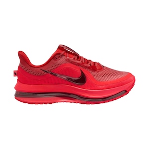 Nike Men's Pegasus Premium Running Shoes