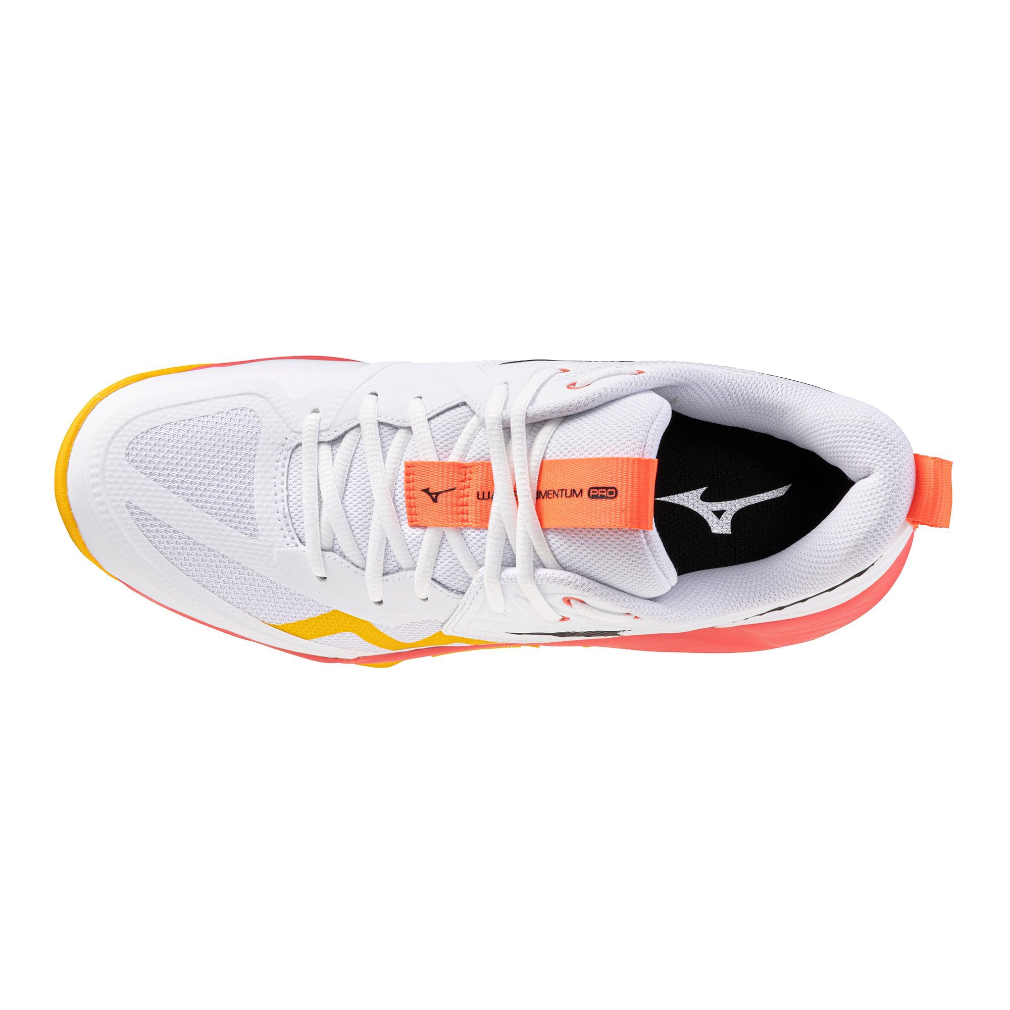 Mizuno Unisex Wave Momentum 4 Pro Volleyball Shoes