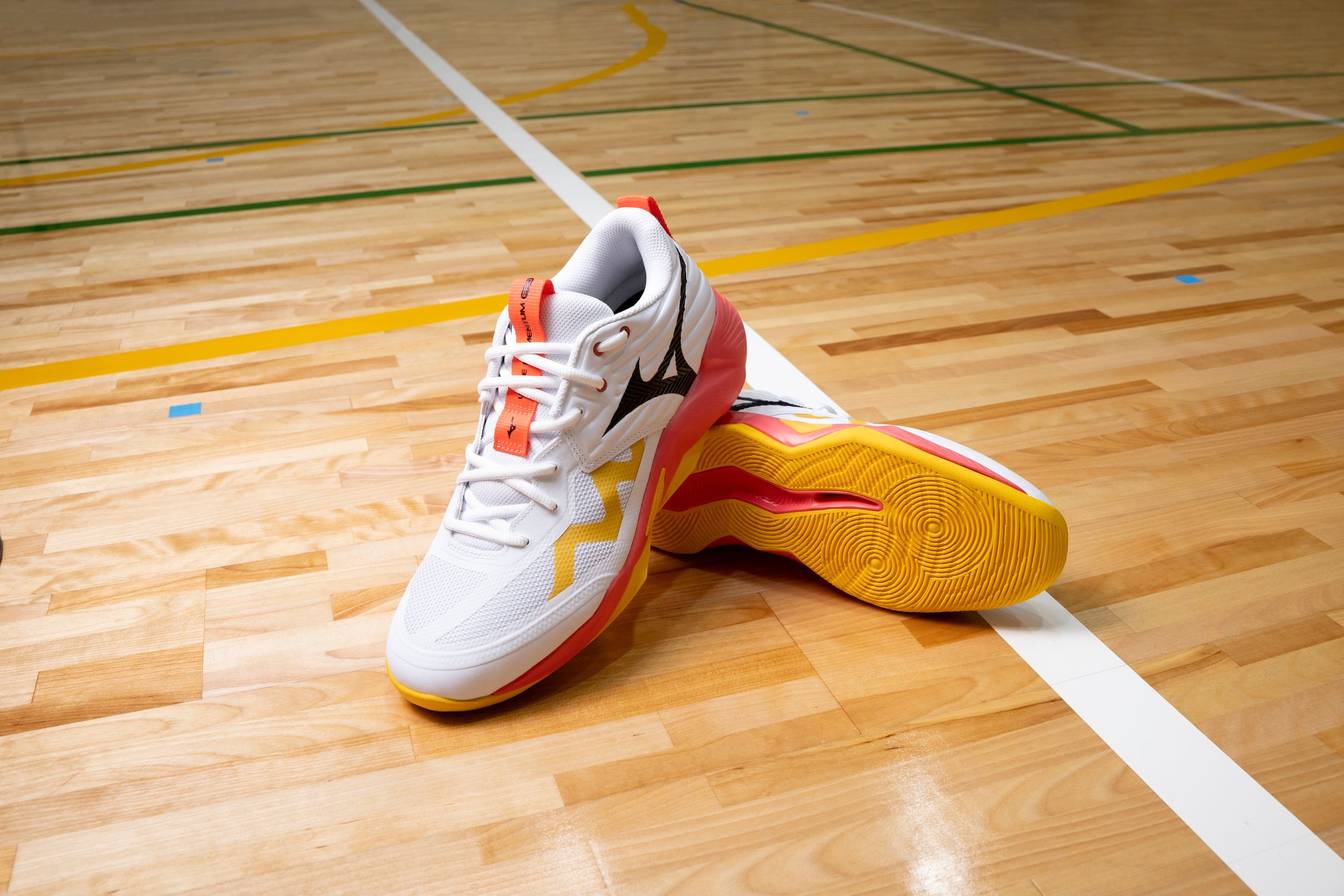 Mizuno Unisex Wave Momentum 4 Pro Volleyball Shoes