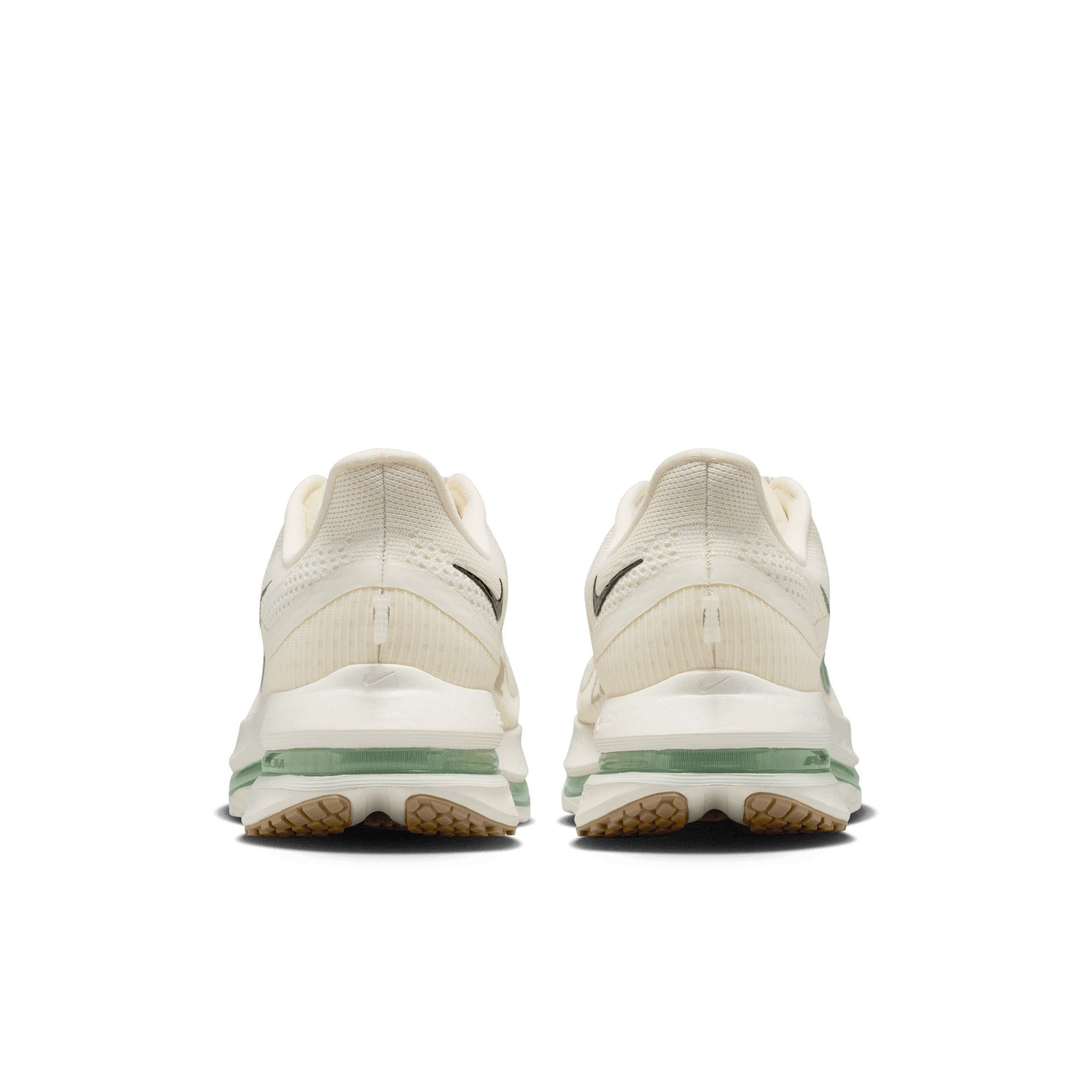 Nike Men's Pegasus Premium Running Shoes