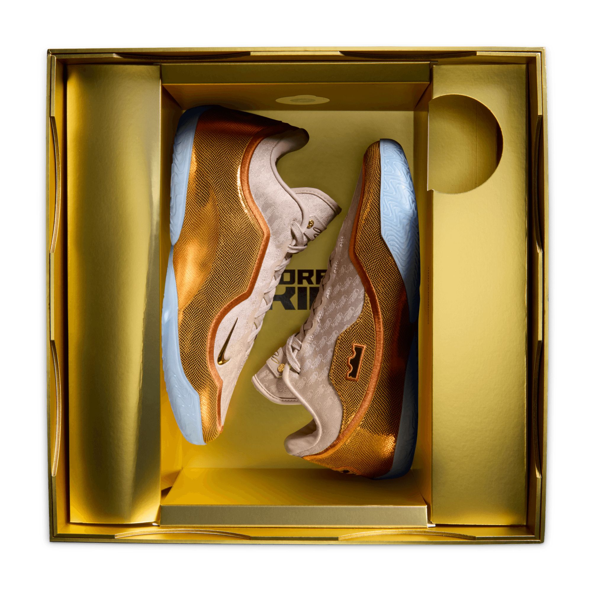 Nike Men's LeBron XXIII Basketball Shoes