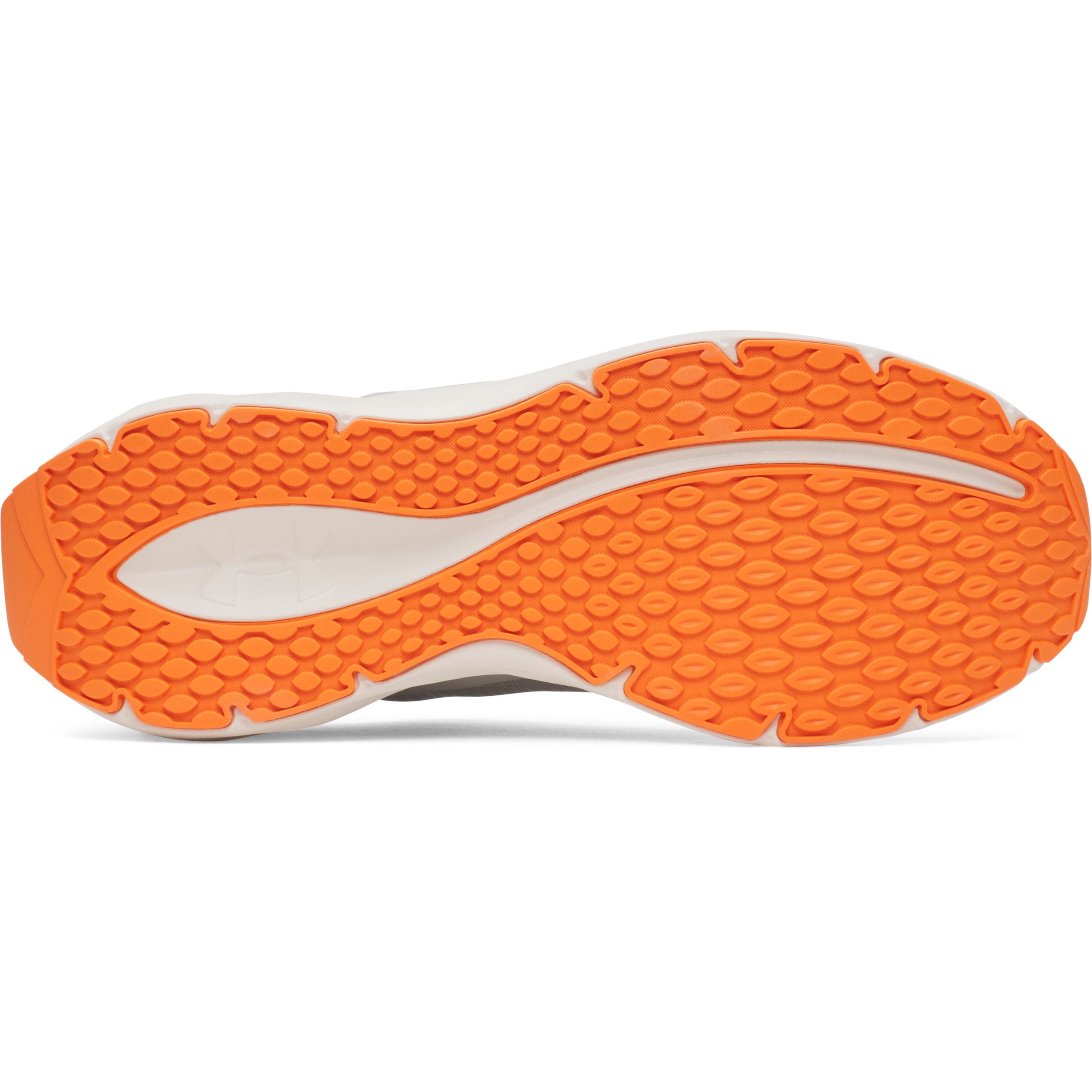 Under Armour Men's Ascend Big Logo Running Shoes