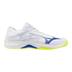 MIZUNO