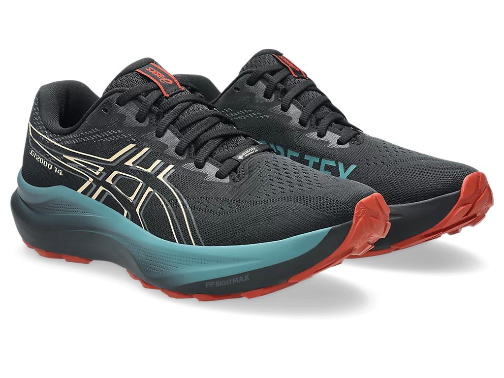 ASICS Men's GT-2000 14 GORE-TEX Running Shoes