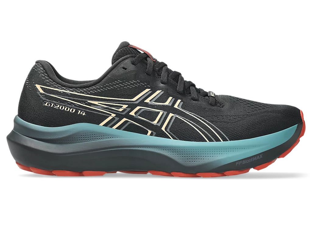 ASICS Men's GT-2000 14 GORE-TEX Running Shoes