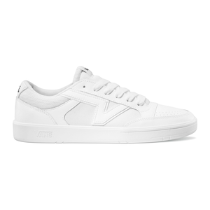 Vans Men's Lowland CC Skate Shoes