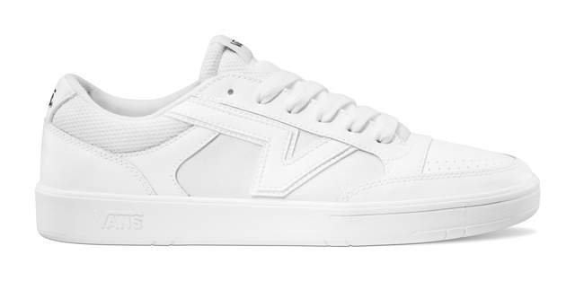 Vans Men's Lowland CC Skate Shoes