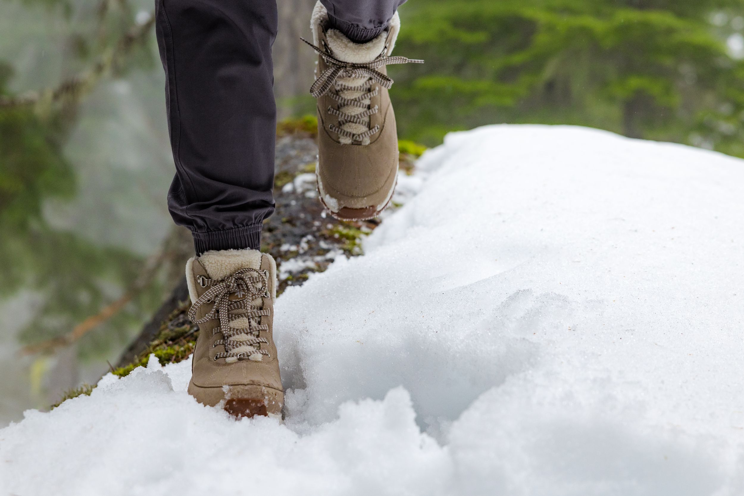 Woods™ Women's DALL ICEFX® Winter Boots