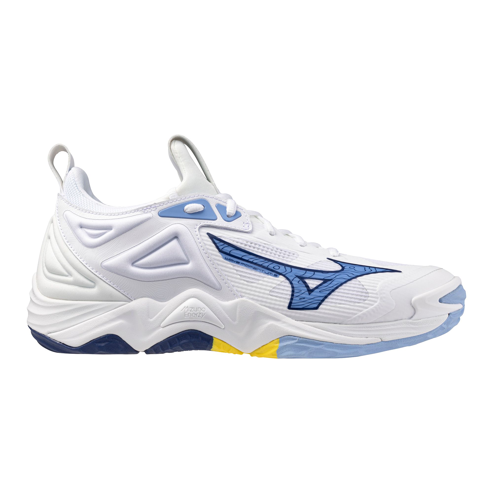 Mizuno Unisex Wave Momentum 3 Volleyball Court Shoes