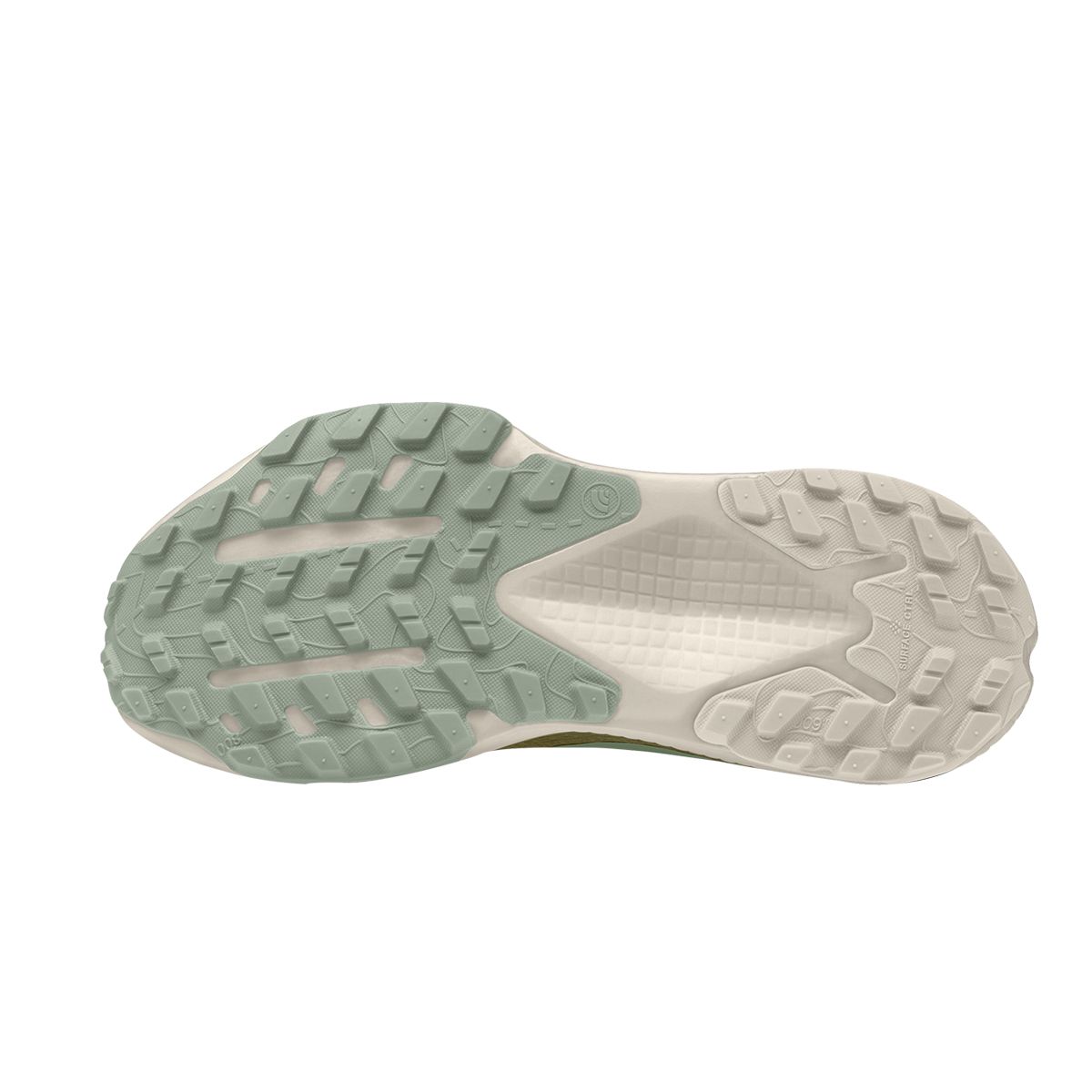 The North Face Women's Altamesa 500 Trail Running Shoes