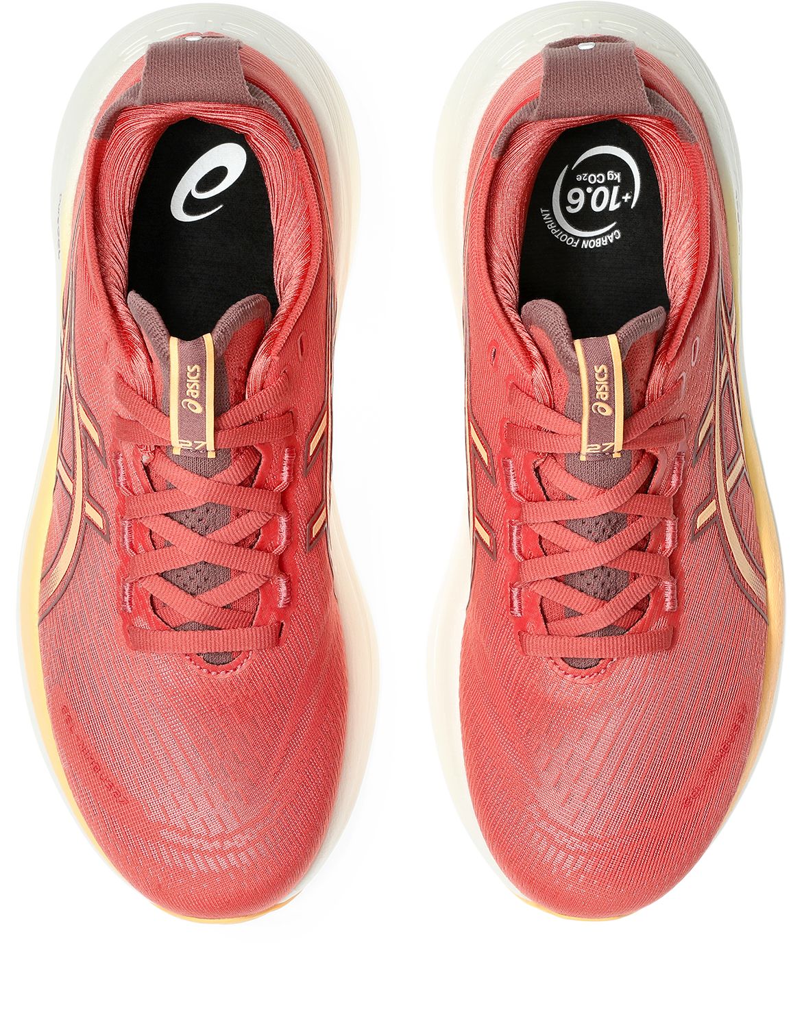 ASICS Women's Gel-Nimbus 27 Running Shoes