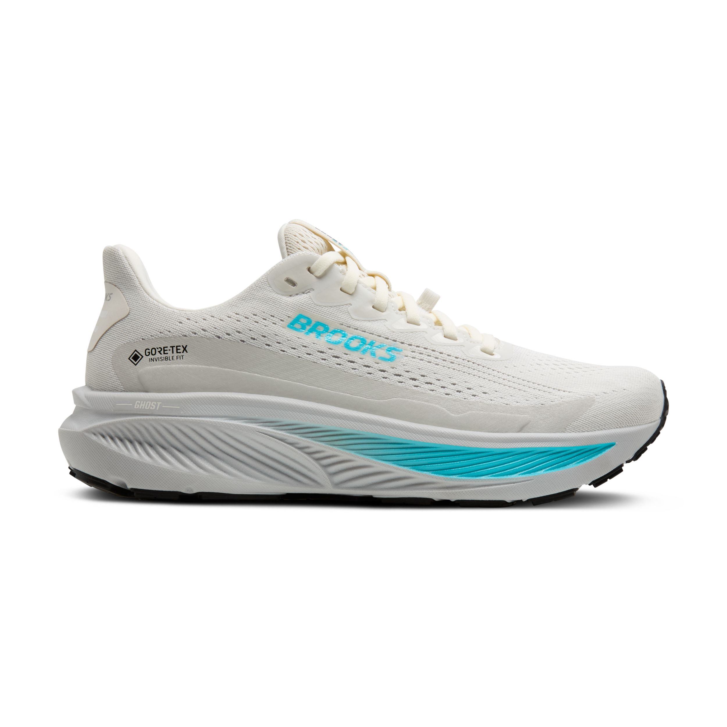 Brooks Women's Ghost 17 Gore-Tex Running Shoes