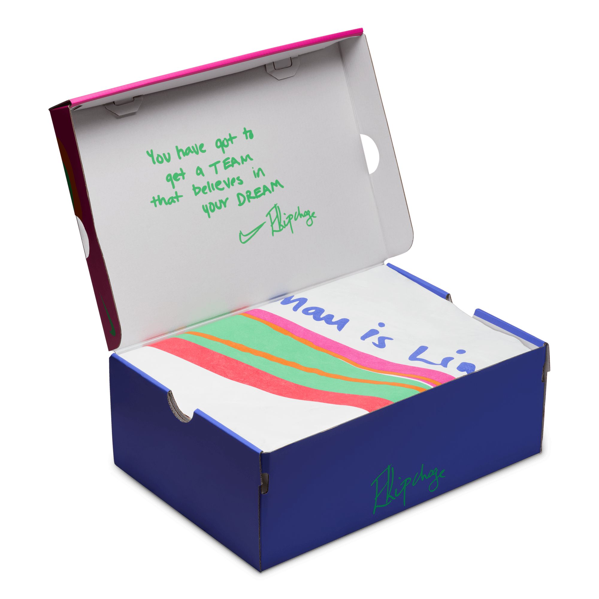 Nike Women's Alphafly Next Flyknit 3 Running Shoes