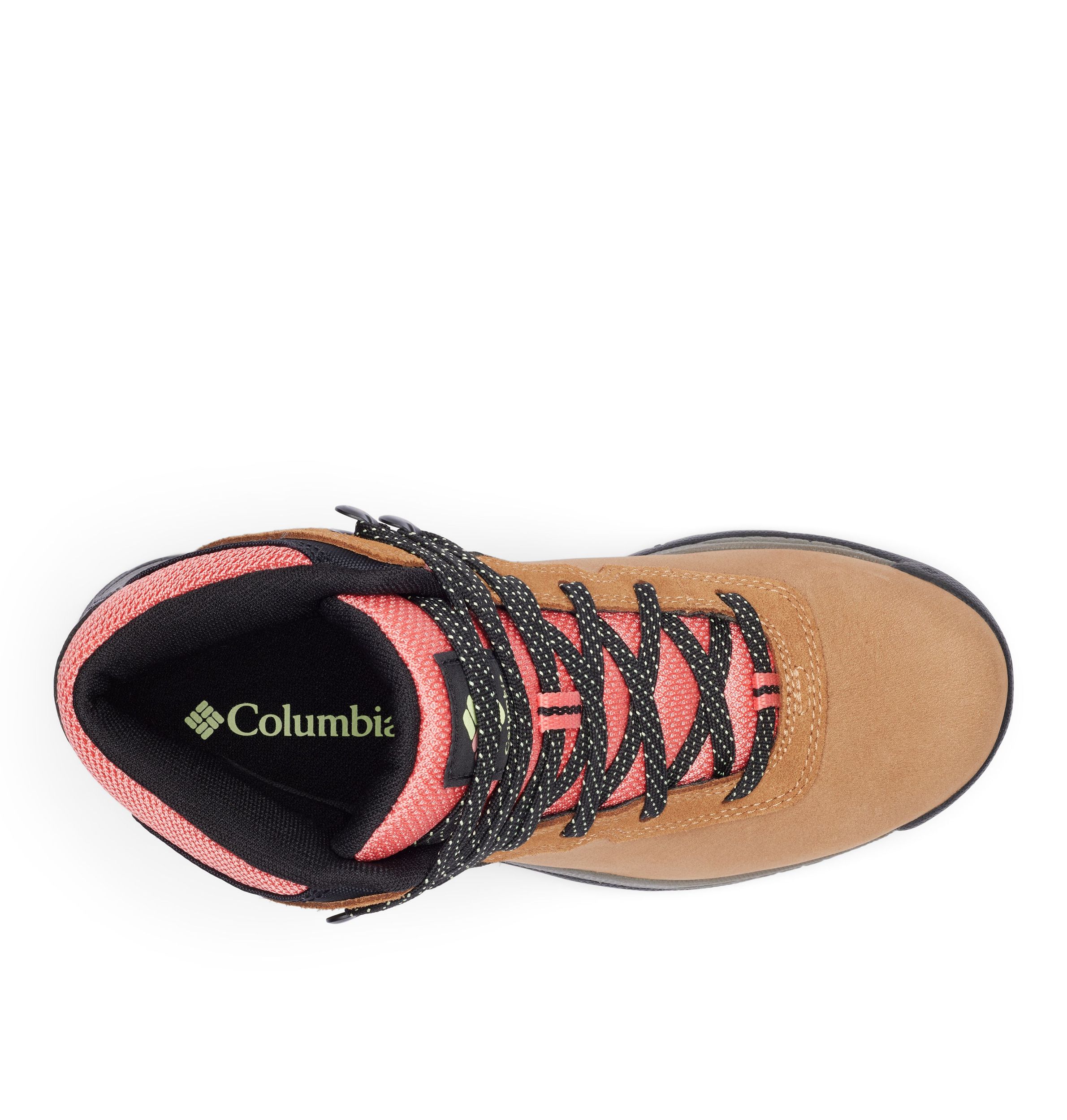 Columbia Women's Newton Ridge™ BC New Born Hiking Shoes