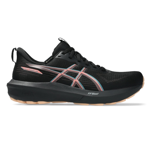 ASICS Women's Gt-1000 14 Gore-Tex Running Shoes