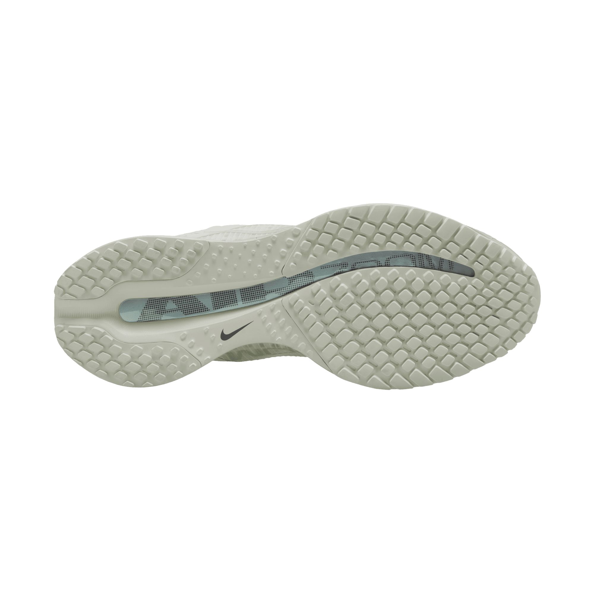 Nike Women's Pegasus Premium Running Shoes