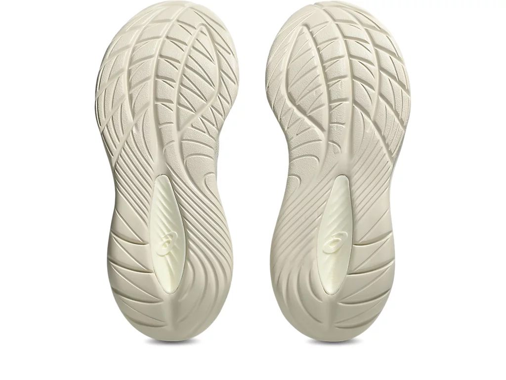 ASICS Women's Gel-cirrus 2 Comfortable Running Shoes