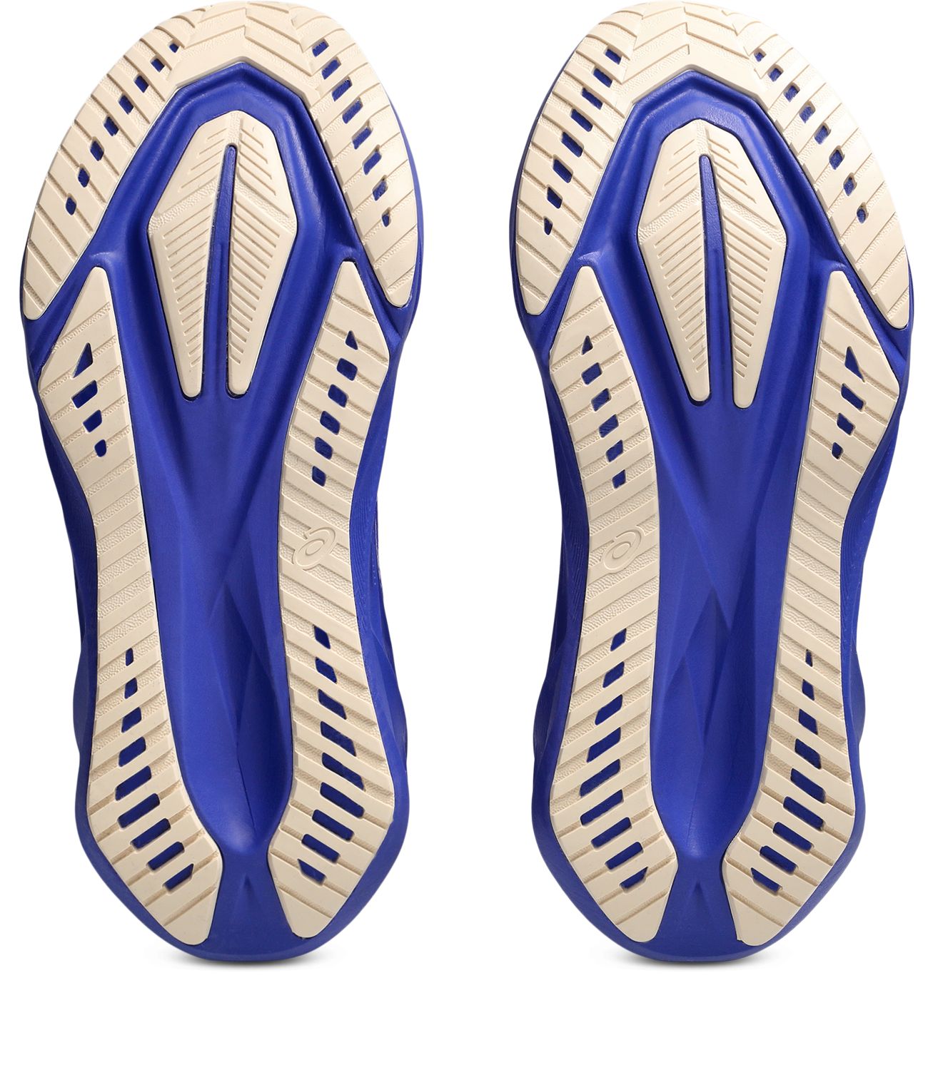 ASICS Women’s Novablast 5 Running Shoes