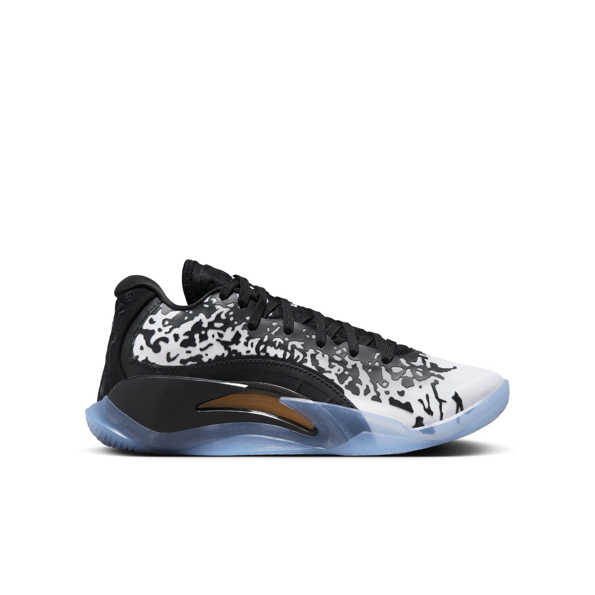 zion shoe