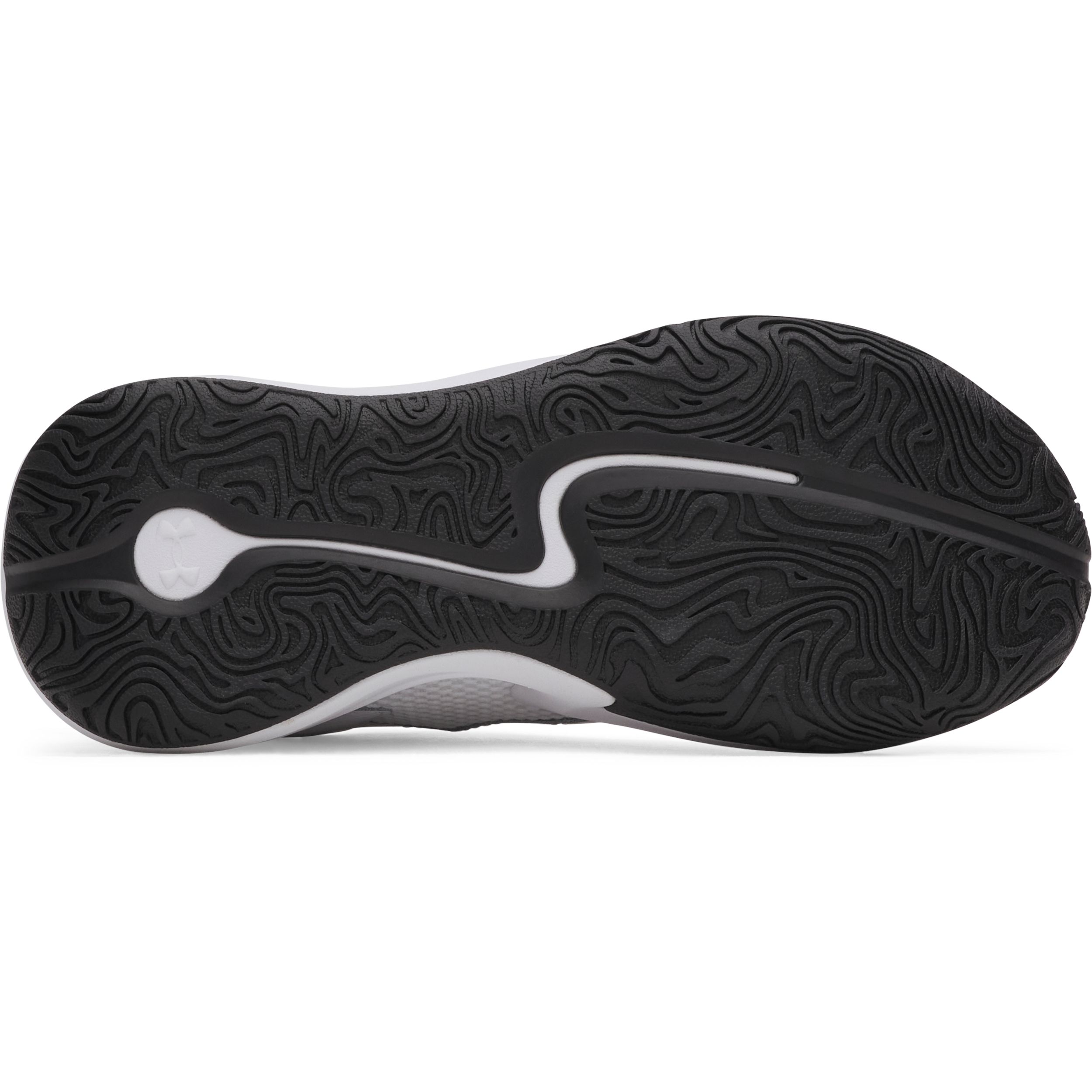 Under Armour Kids' Grade School Curry 3Z 25 Basketball Shoes