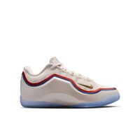 Nike Kids' LeBron Xxiii Basketball Shoes