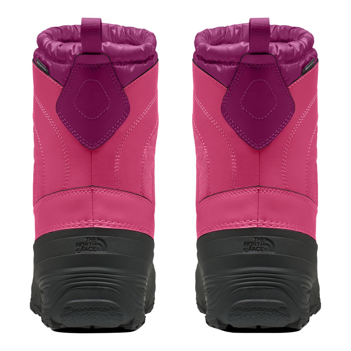 The North Face Kids' Pre-School/Grade School Alpenglow IV Waterproof Lightweight Non-Slip Winter Boots