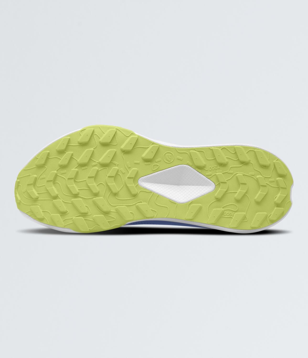 The North Face Kids' Grade/Pre-School Altamesa Hiking Shoes