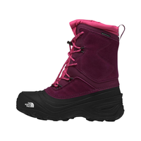 The North Face Kids' Alpenglow V Winter Boots Side_Left