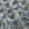 MIDGREY