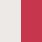 DETROIT RED WINGS