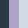 ASTER PURPLE