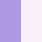 ASTER PURPLE