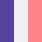 PURPLE/PINK