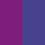 VIVID PURPLE