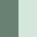 BARELY GREEN/BLACK-STEAM
