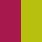 PINK TETRA/FRTUN YELLOW